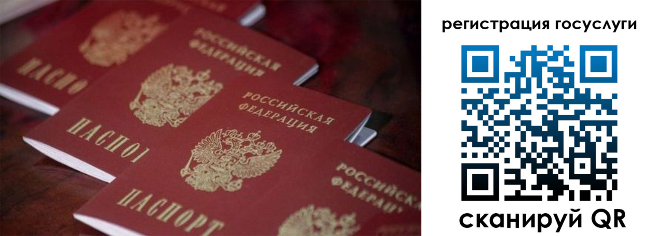 где прописаться в Луге